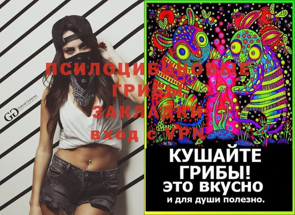 меф Каменногорск