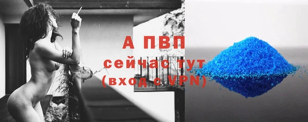 мяу мяу мука Няндома