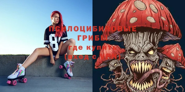 мяу мяу мука Няндома