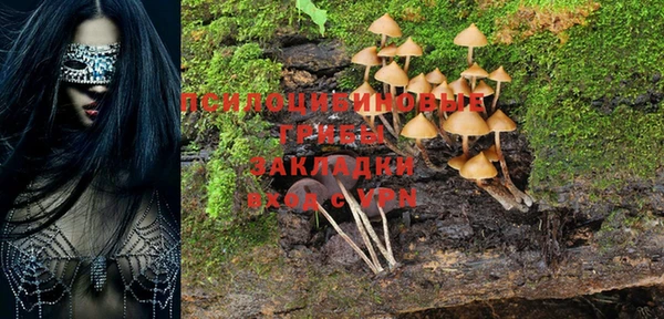 кокаин перу Каменка