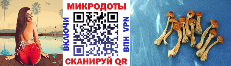 как найти наркотики Кольчугино Галлюциногенные грибы Magic Shrooms