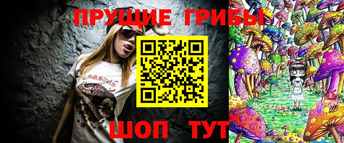 Галлюциногенные грибы Psilocybe Кольчугино