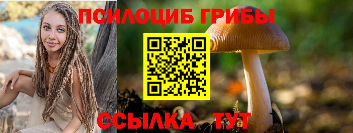 Кольчугино  Псилоцибиновые грибы прущие грибы  Вход с VPN 